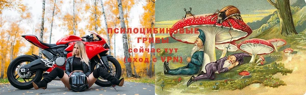 каннабис Алзамай
