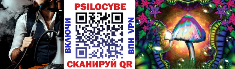 купить   Алушта  Псилоцибиновые грибы прущие грибы 